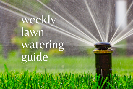 Lawn Watering Guide