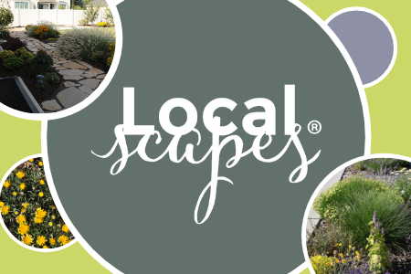 Localscapes