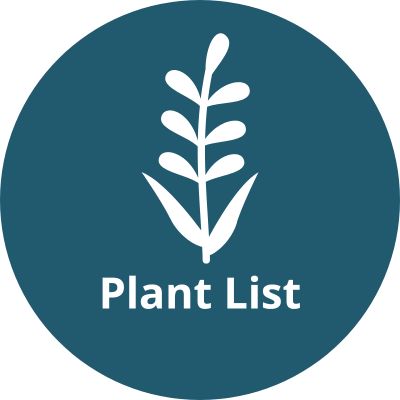 click to download examples guide